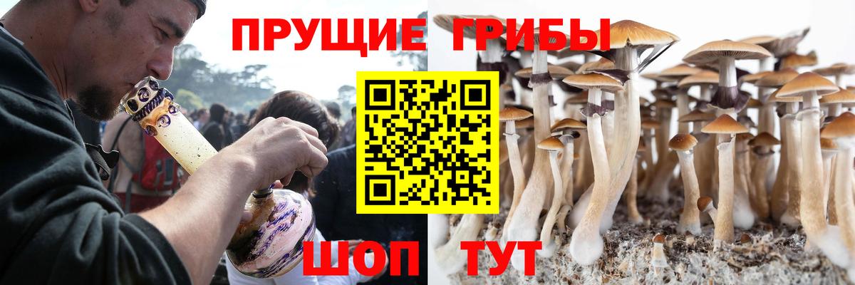 Псилоцибиновые грибы мицелий Нарткала